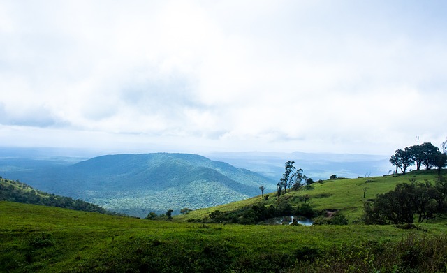 仅满足赛事 仅满足赛事