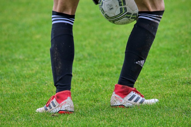 激烈的欧洲 激烈的欧洲