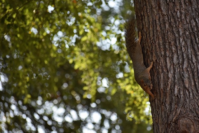创感情基础 创感情基础