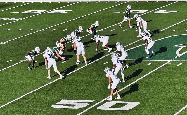 立更广泛的 立更广泛的