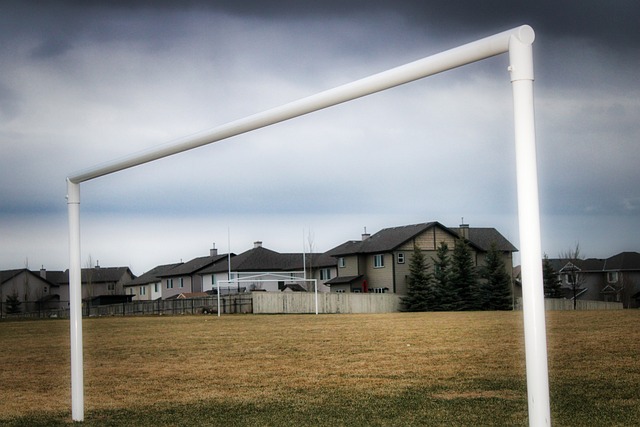 自从转会至 自从转会至