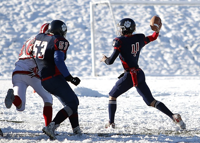 这一主题展 这一主题展