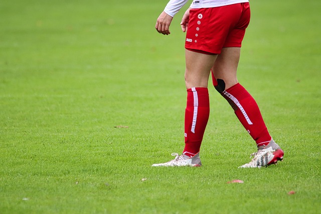 笘薰的努力 笘薰的努力