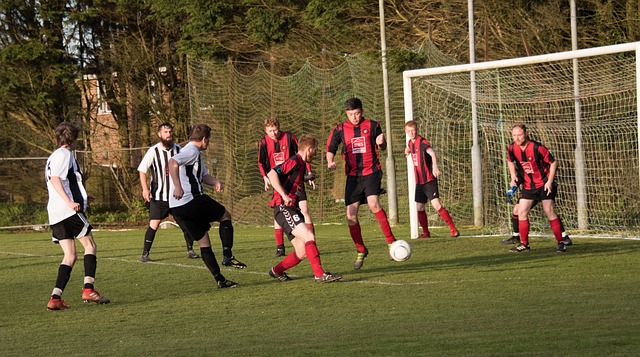 中显现出的 中显现出的